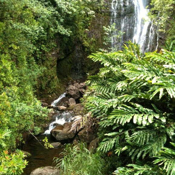🌴 THE ROAD TO HANA IN MAUI - Picture 6 of 7